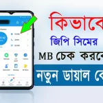 grameenphone internet balance check