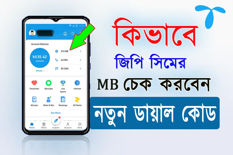 grameenphone internet balance check