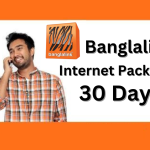 banglalink internet package 30 days