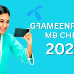 grameenphone mb check